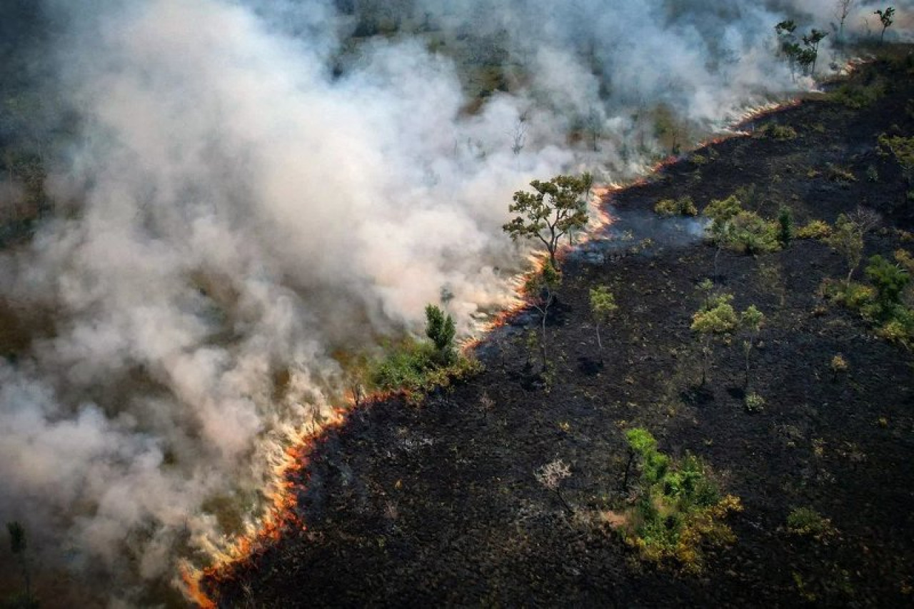 Incendio en el Amazonía. Foto: Reuters.