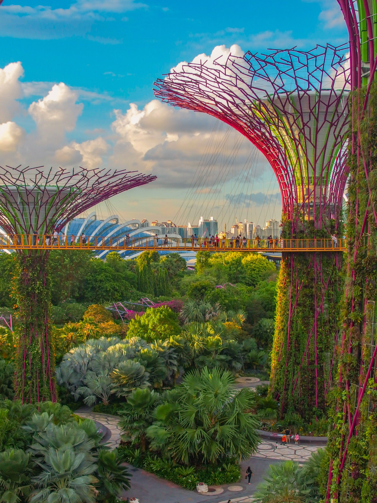 Otro proyecto llamado Kampung Admiralty desarrollado en 2018 tiene como objetivo conectar a las personas mayores con la naturaleza. Unsplash.