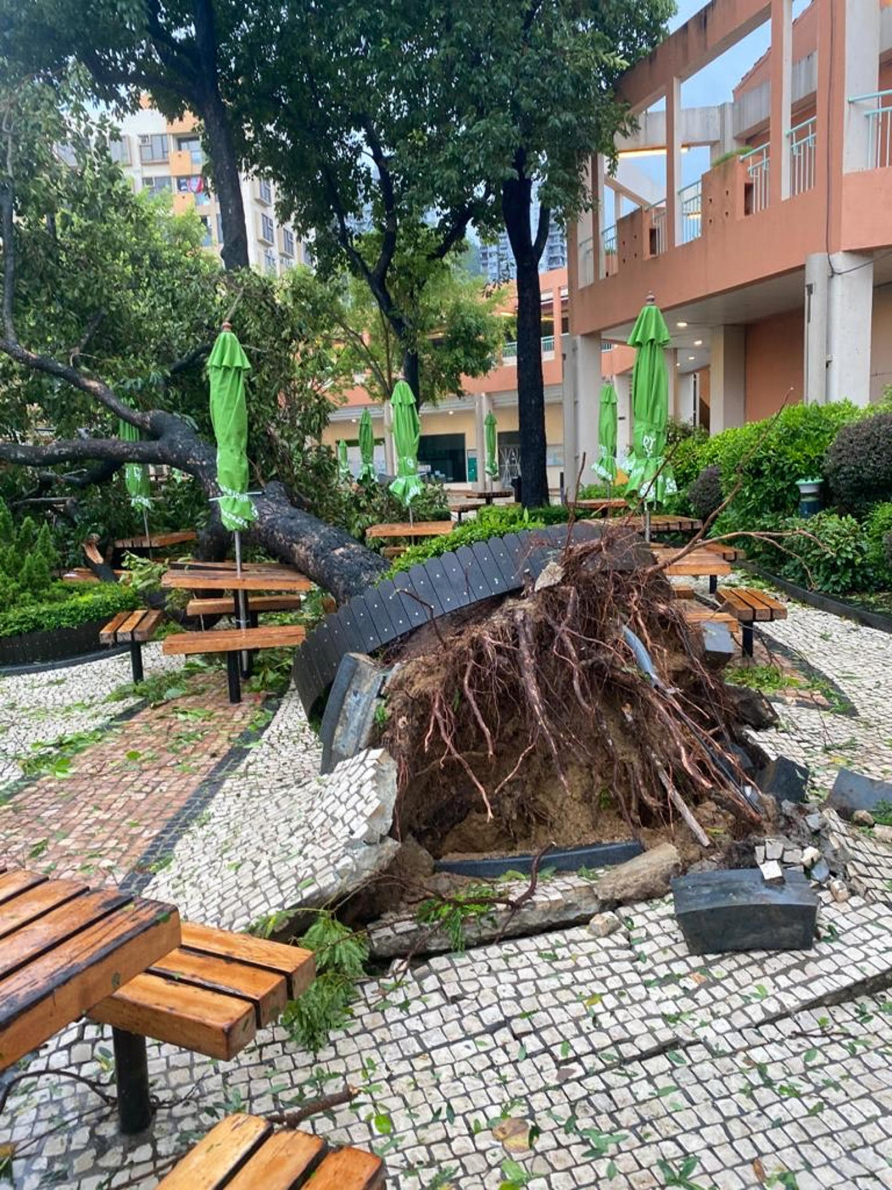 Tifón de Saola en Hong Kong. Foto: Reuters.