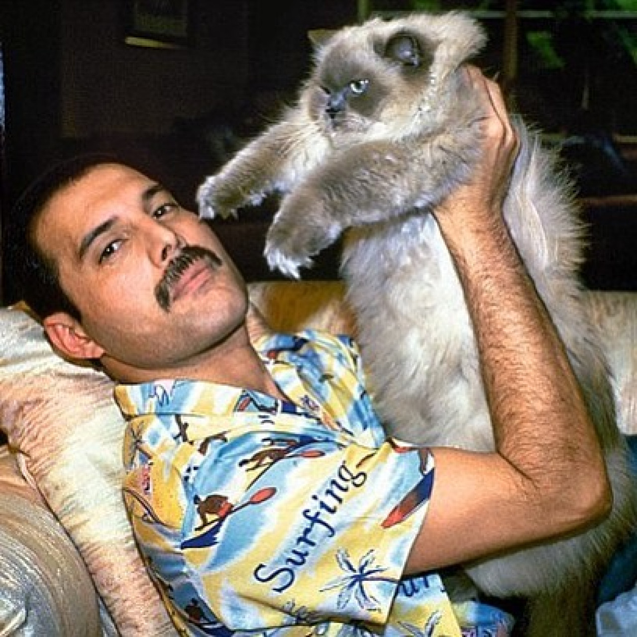 Freddie Mercury y su amor por los gatos. Foto: Instagram.