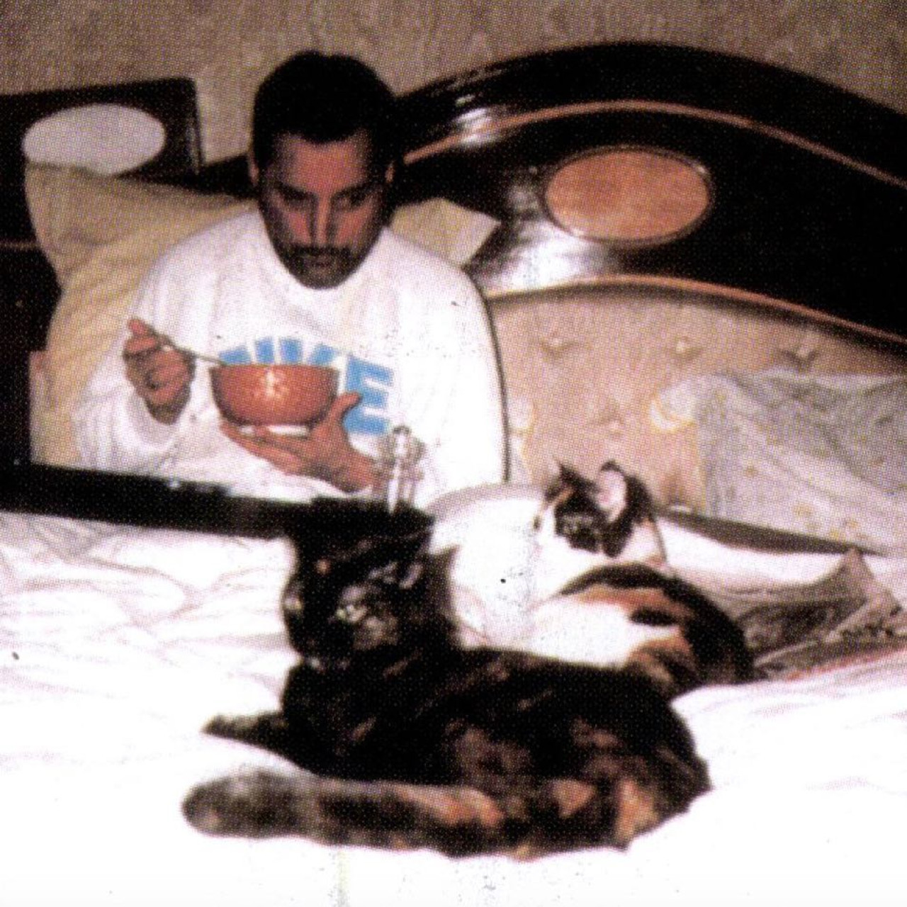 Freddie Mercury y su amor por los gatos. Foto: Instagram.