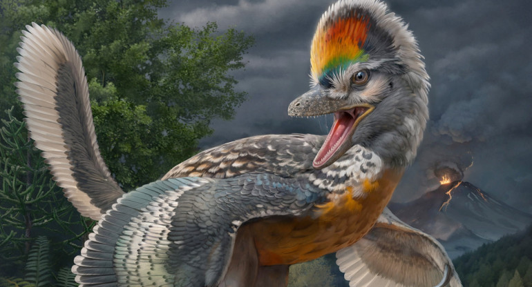 Científicos descubren un extraño dinosaurio con patas largas, parecido a un pájaro. Foto: Reuters