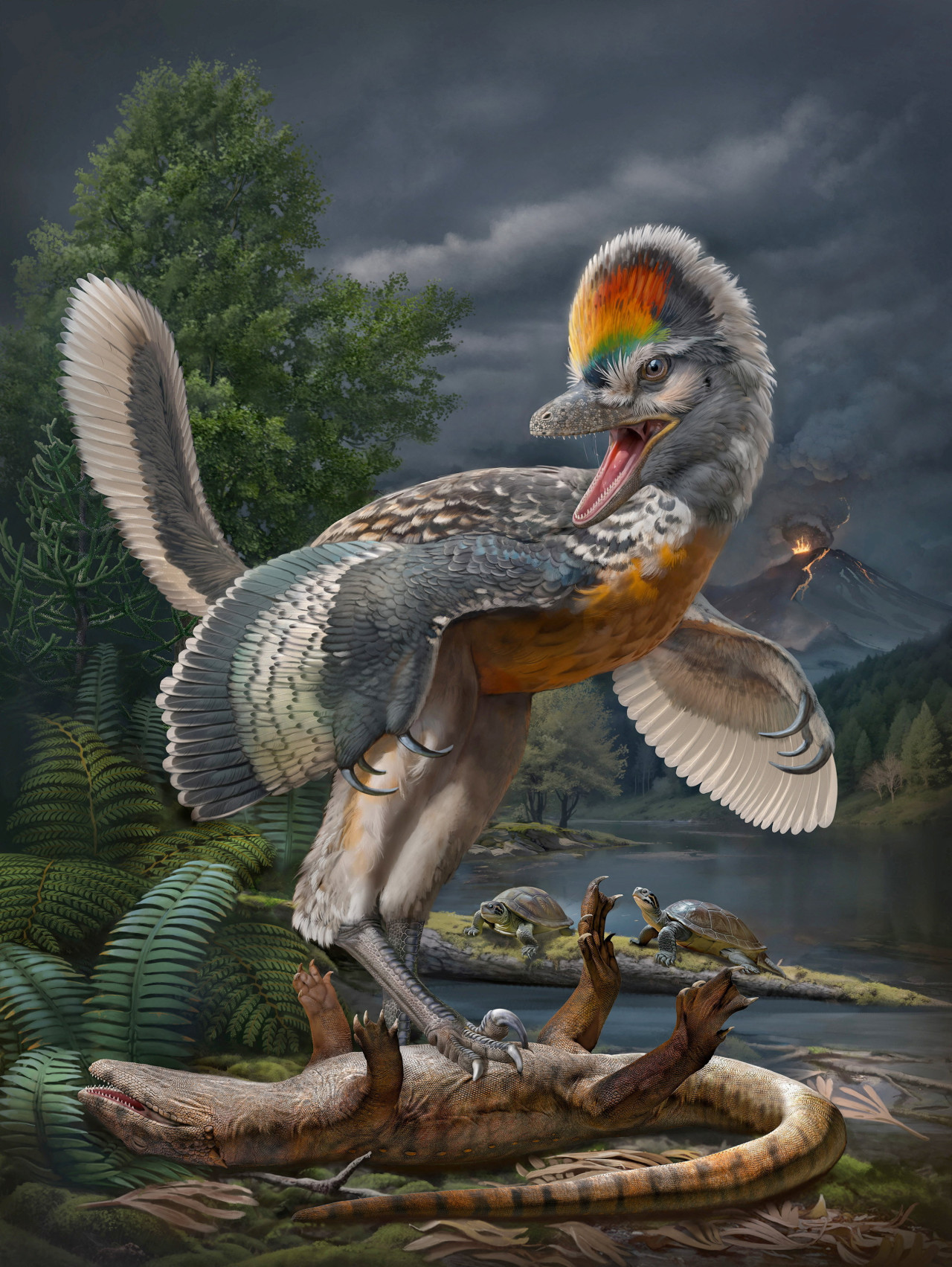 Científicos descubren un extraño dinosaurio con patas largas, parecido a un pájaro. Reuters