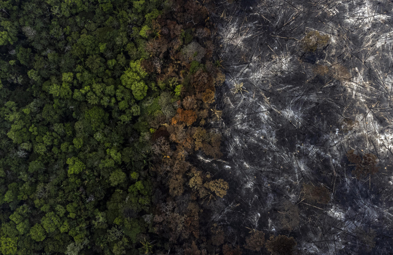 Fotografía aérea muestra la destrucción causada por uno de los incendios en la selva amazónica. Foto EFE.