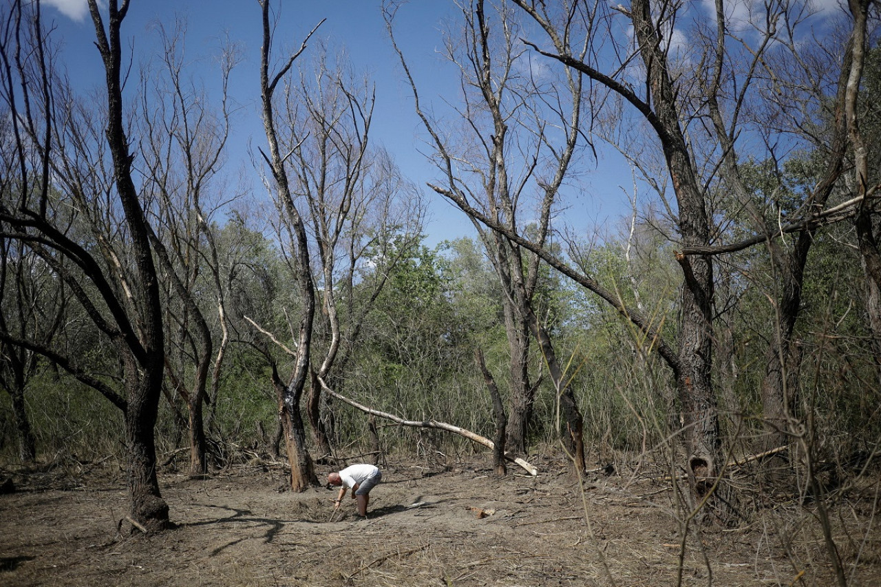 La zona donde Rumania halló restos de drones "similiares a los rusos" en la frontera con Ucrania. Foto: Reuters.