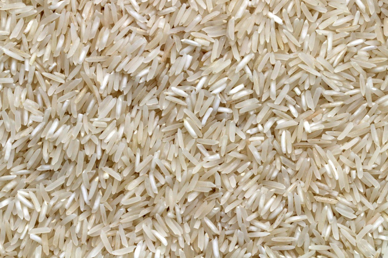 El arroz es un alimento básico para miles de millones de personas en Asia y África. Foto: Unsplash.