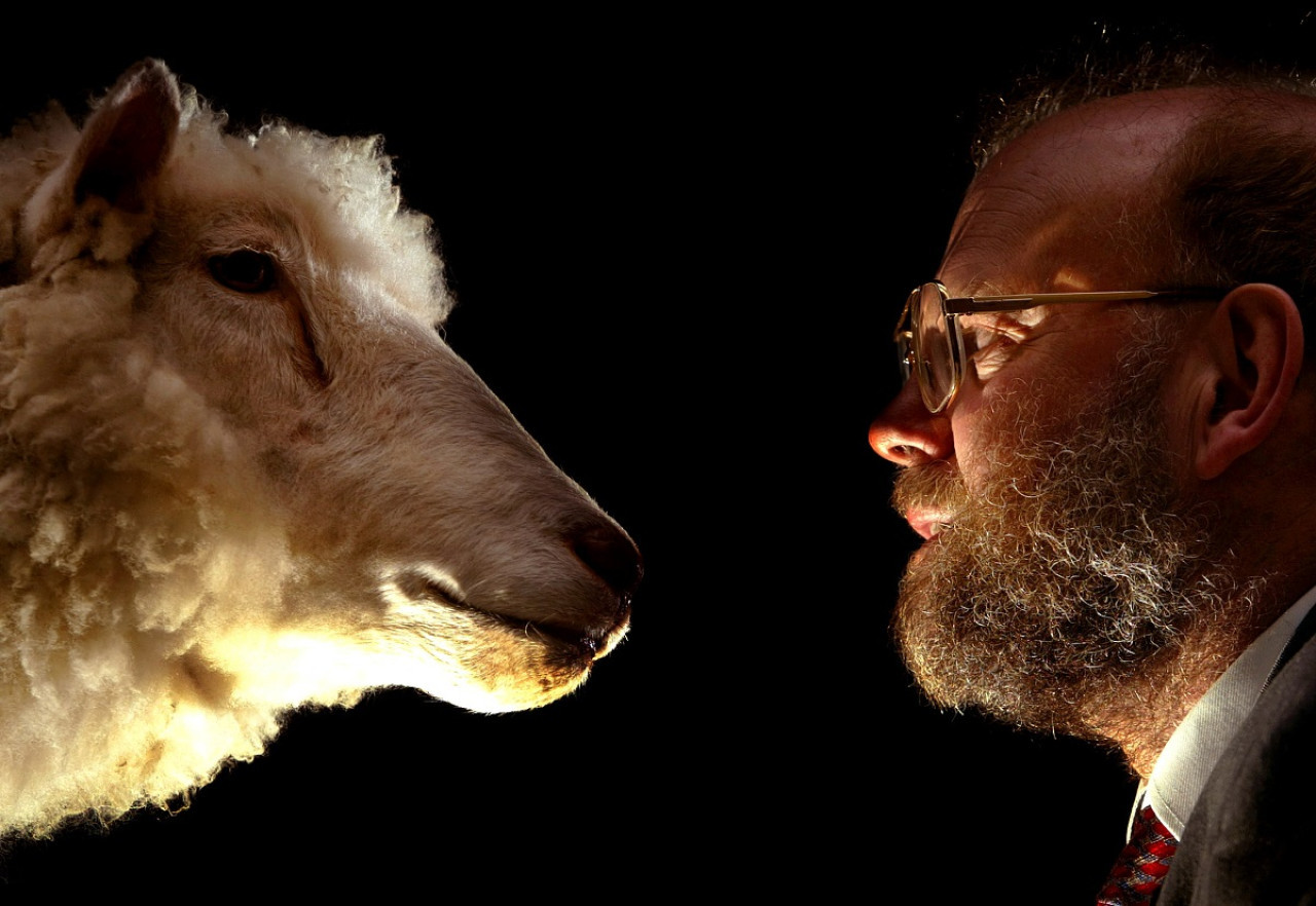 Ian Wilmut de frente a la oveja Dolly, su creación. Foto: Reuters.