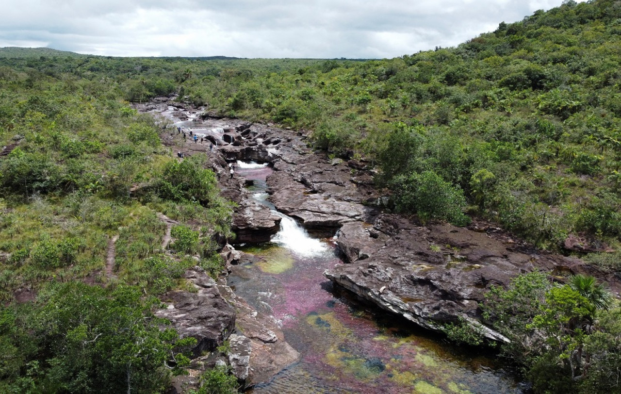 Imagen del río Caño Cristales en La Macarena, departamento del Meta, Colombia. Foto: Reuters.