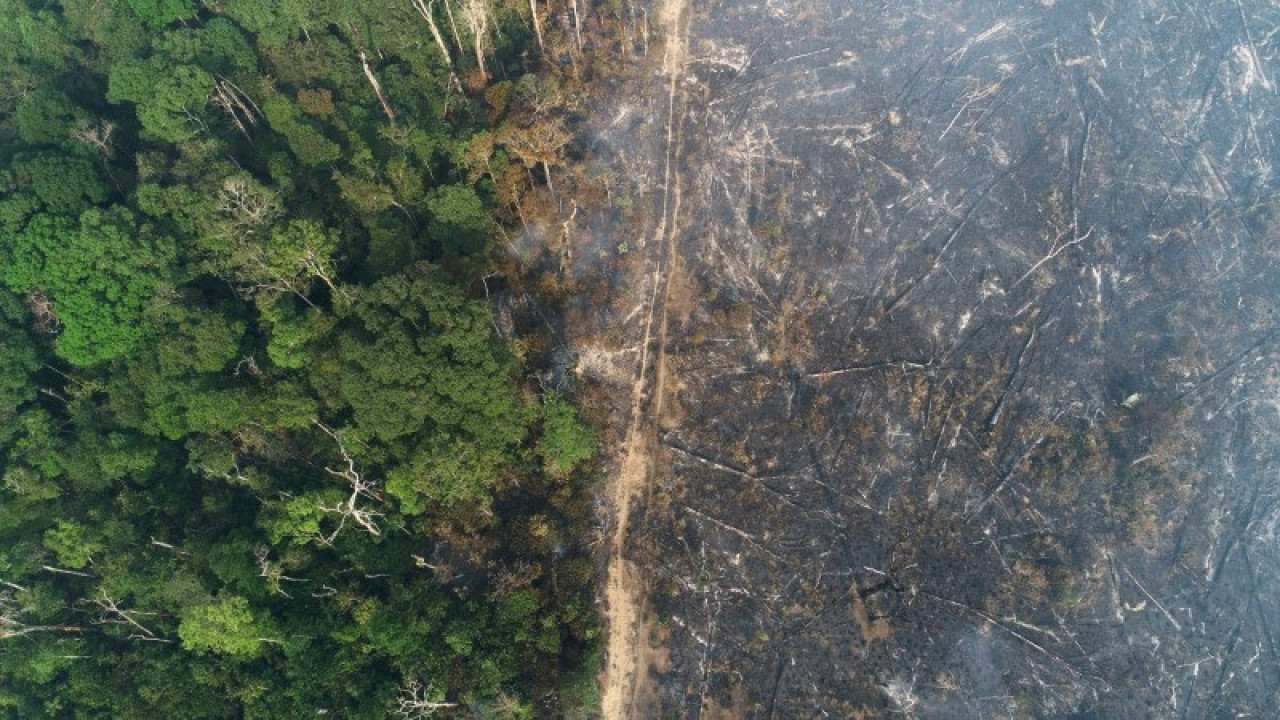 Amazonia. Foto: REUTERS.