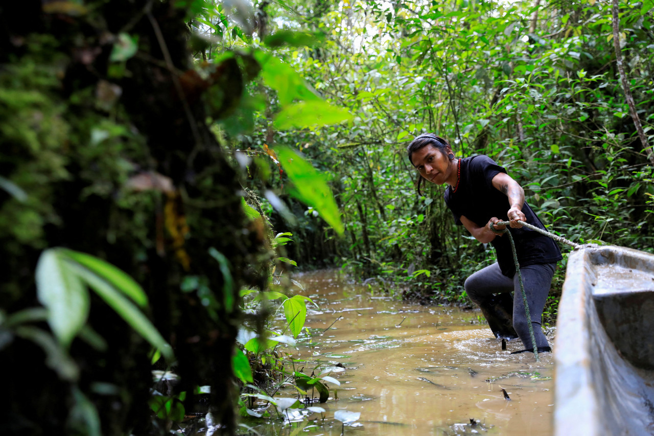 Amazonia. Foto: REUTERS.