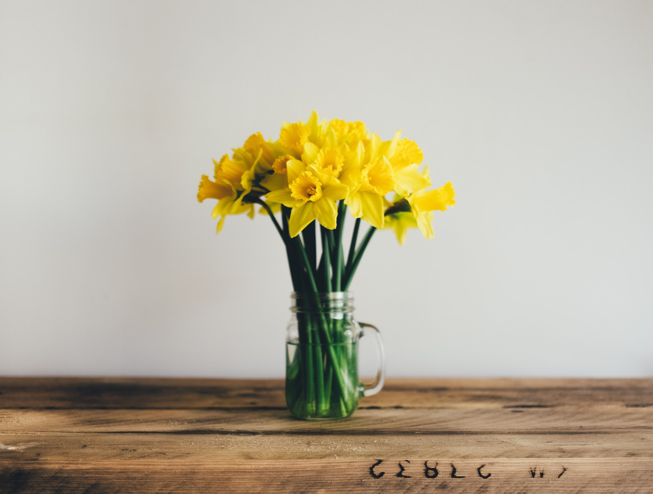 Regalar flores amarillas, símbolo de amor. Foto: Unsplash