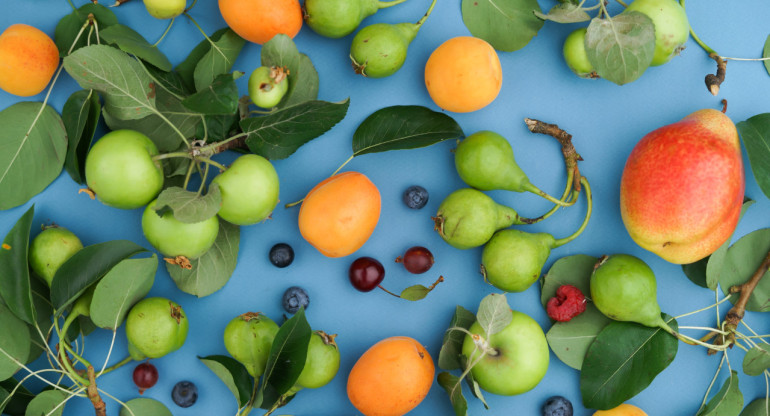 Frutas con vitamina C. Foto: Unsplash
