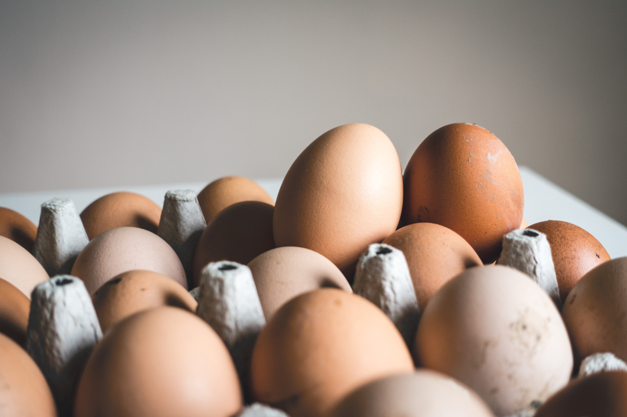 Huevos. Foto: Unsplash.