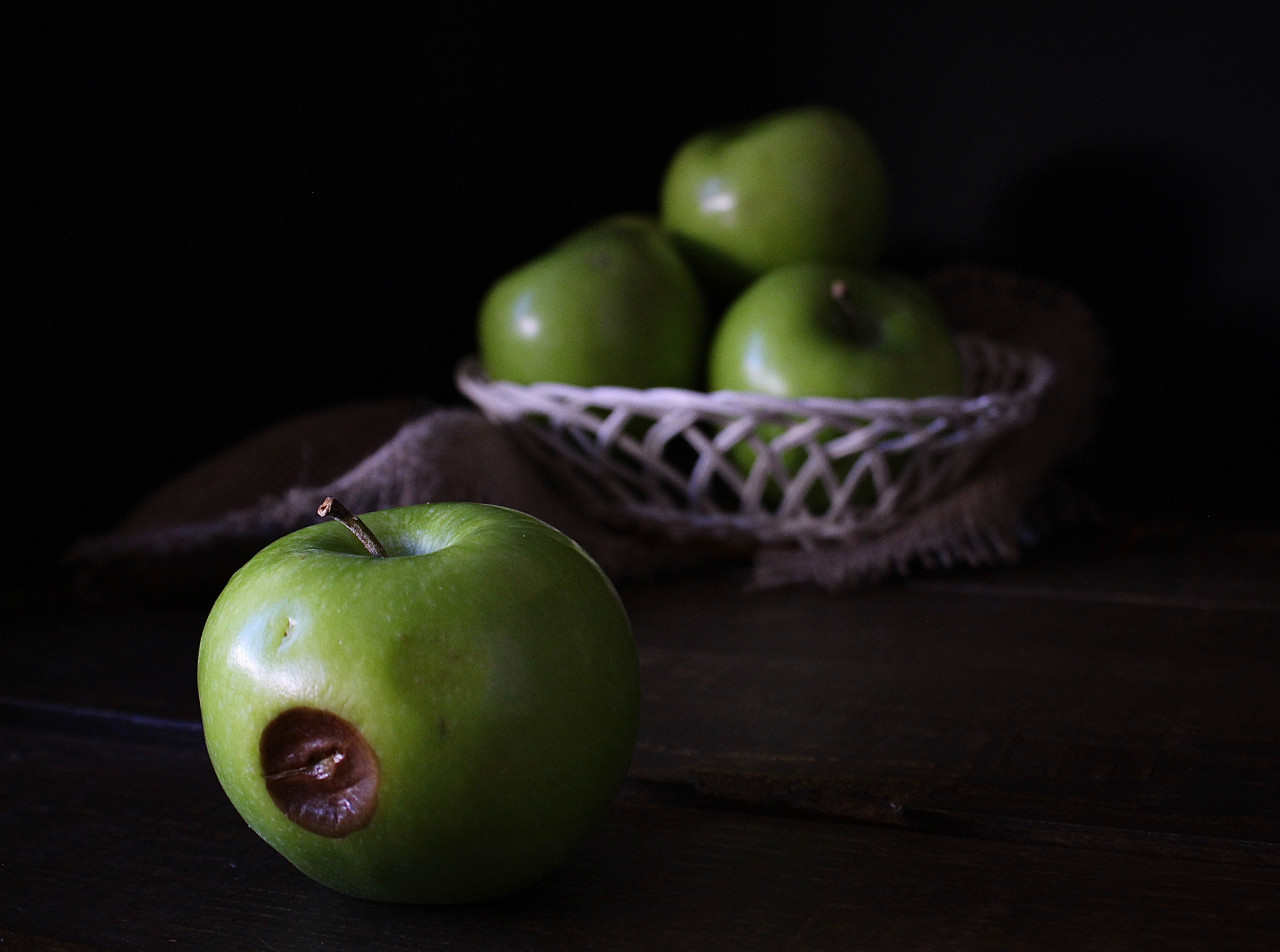 Desperdicio de alimentos. Foto: Unsplash