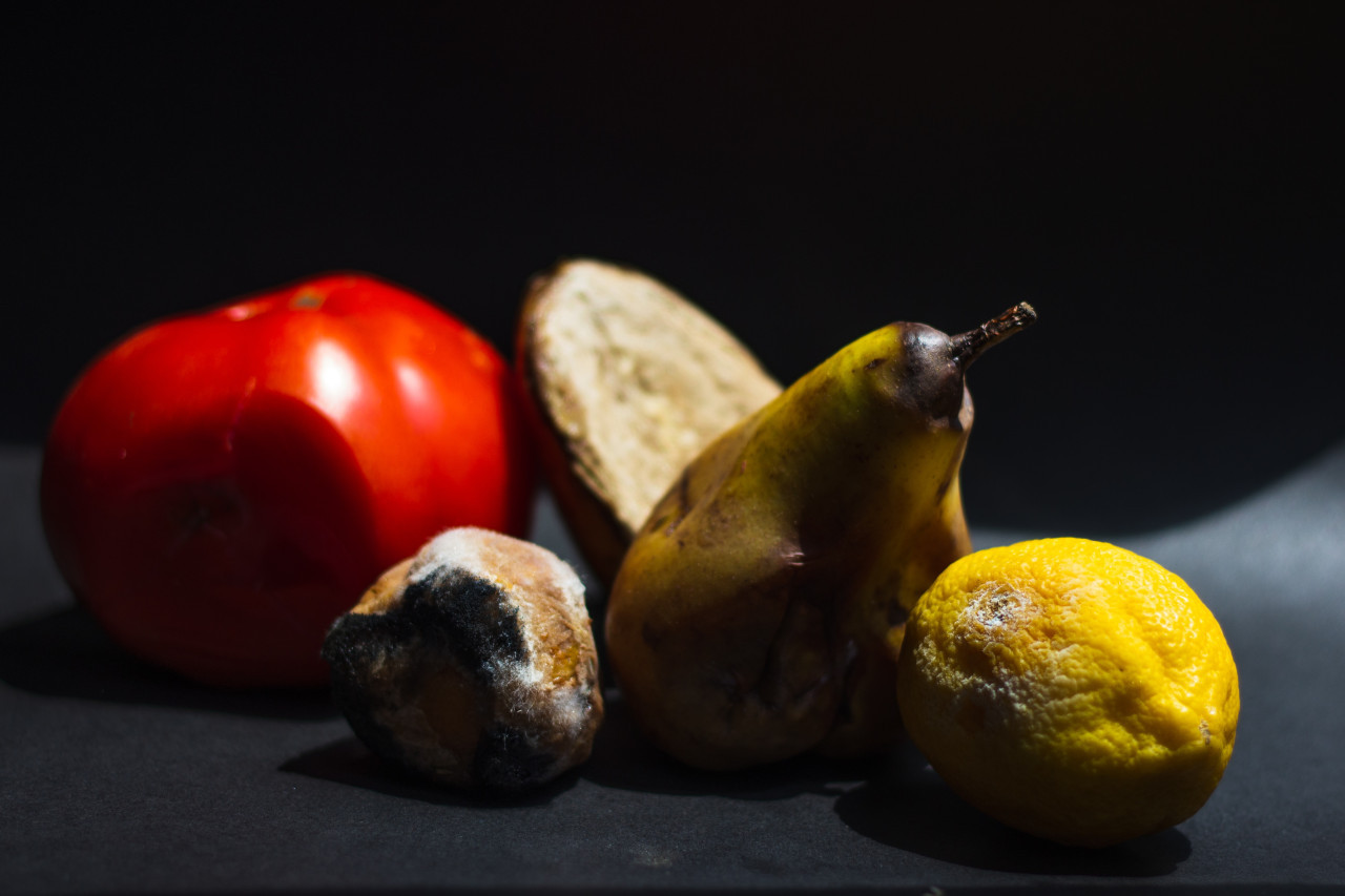 Desperdicio de alimentos. Foto: Unsplash