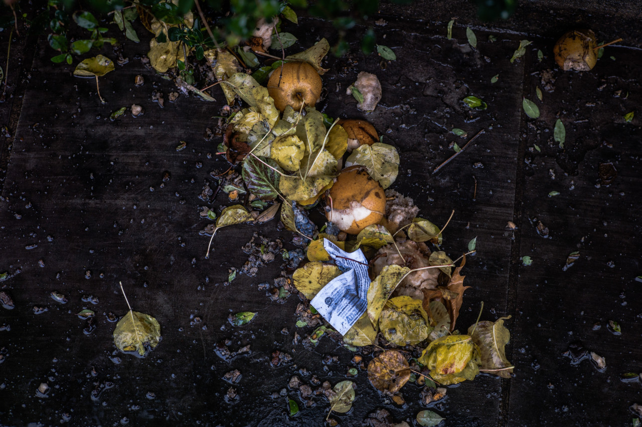 Comida desperdiciada. Foto: Unsplash