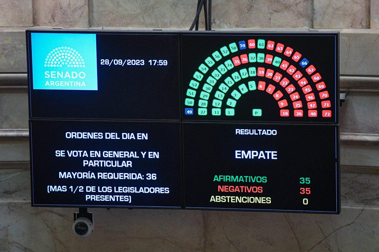 Aprobación en el Senado del pliego de Ana María Figueroa y otros 32 jueces. Foto: NA.
