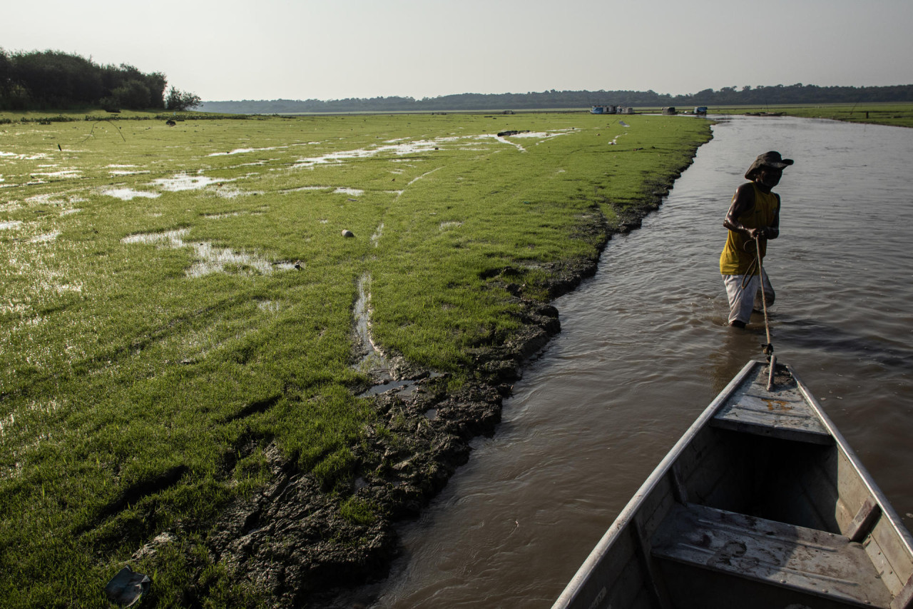 Preocupación por la sequía en la Amazonía brasileña. Foto: EFE.