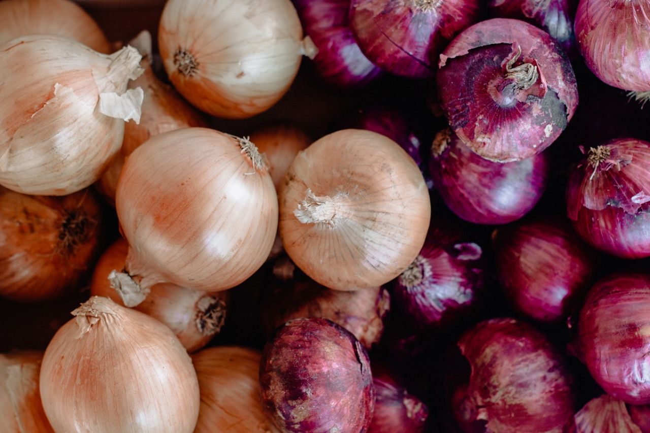 Las cebollas tienen aceites esenciales y flavonoides. Foto: Unsplash.