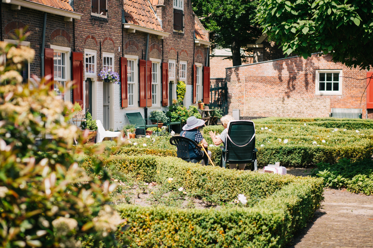 Longevidad. Foto: Unsplash