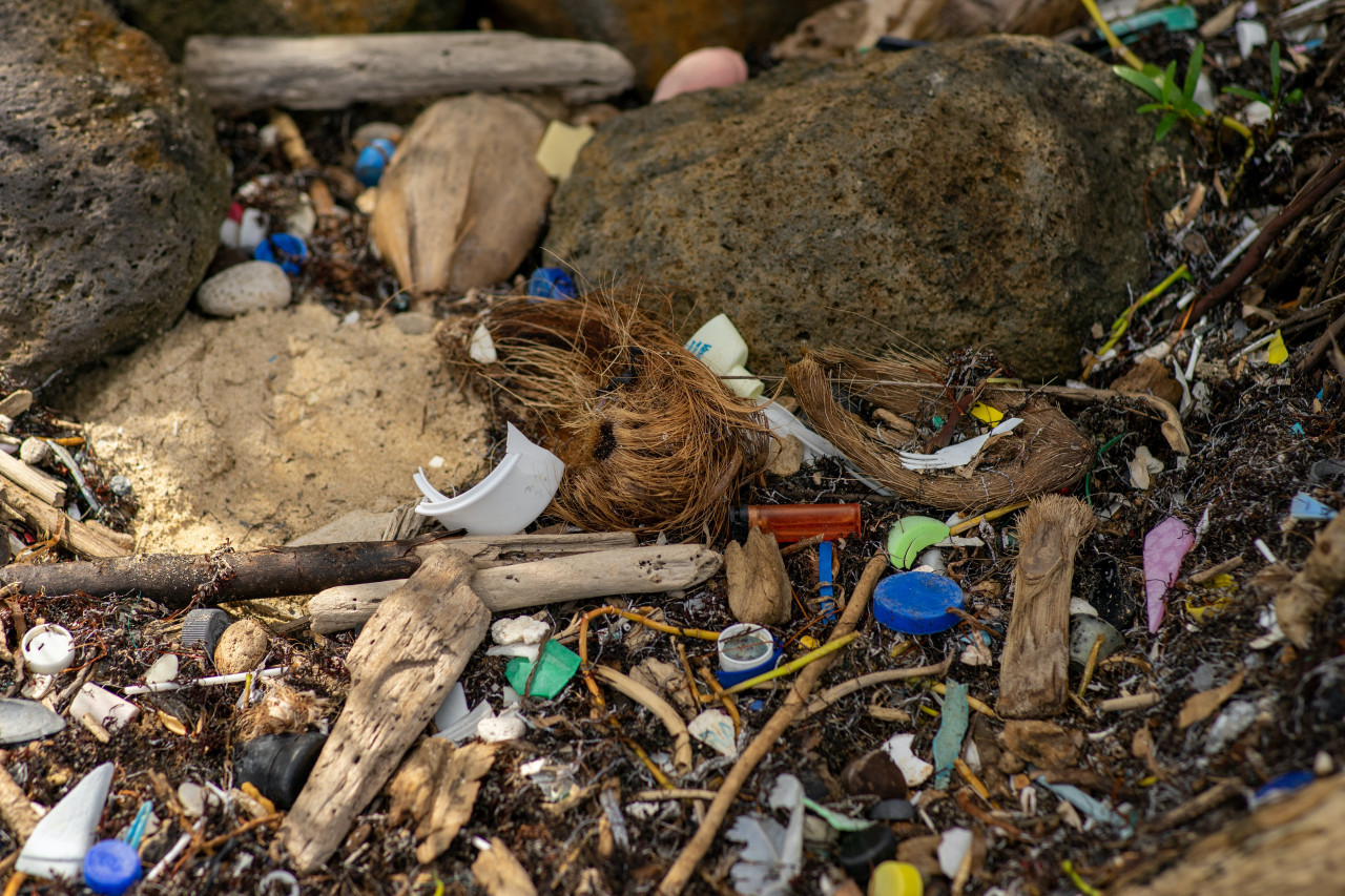 Contaminación, basura, desperdicios. Foto: Unsplash