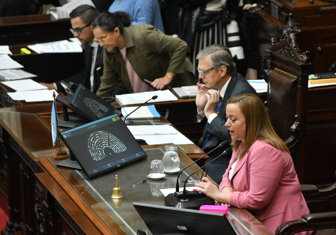 Cecilia Moreau, Cámara de Diputados. Foto: NA.