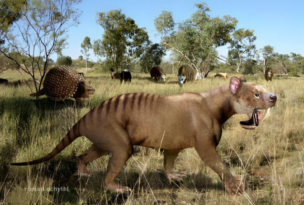 Ilustración de esparasodonte. Foto: X/Twitter (@cronicasdefauna).