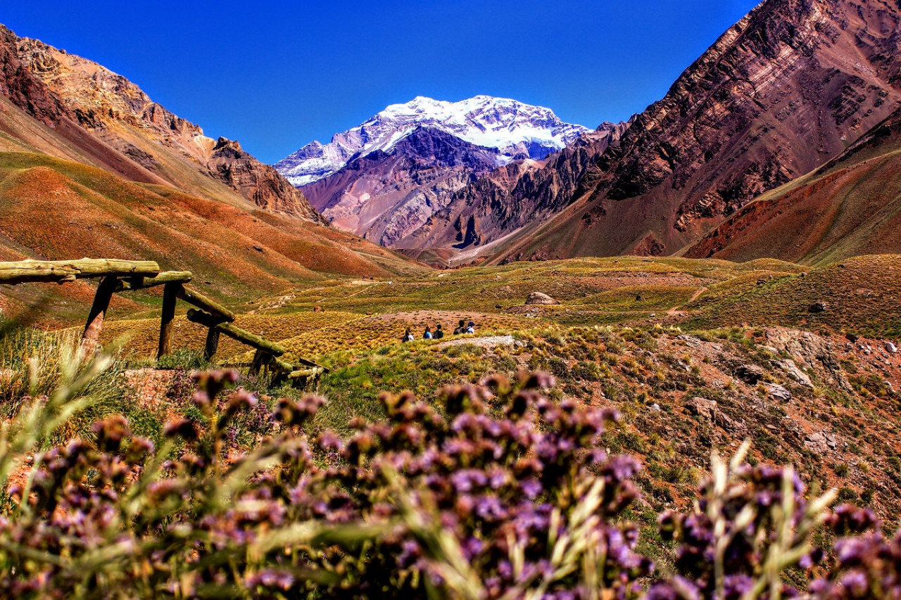 Mendoza, Argentina. Foto: Unsplash.