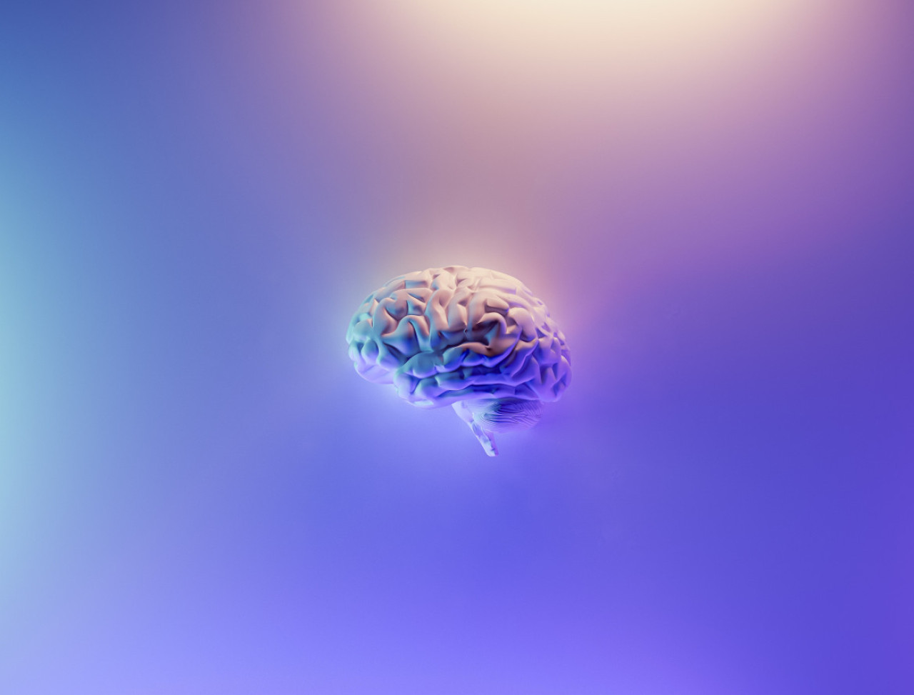 El cerebro humano y el cambio climático. Foto: Unsplash