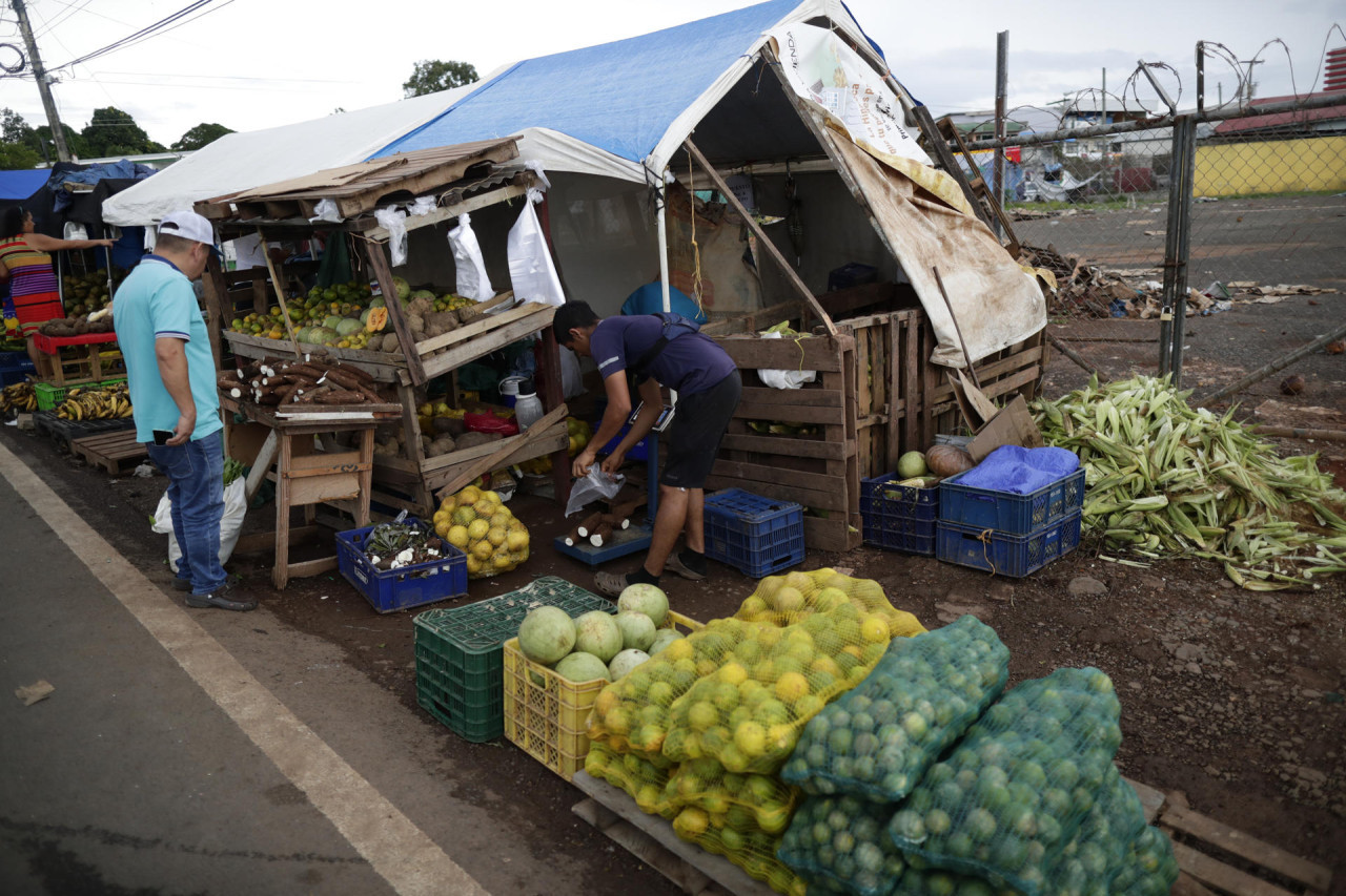 La FAO acompaña a los países de la región en la promoción de las dietas saludables mediante instrumentos de apoyo a políticas públicas. Foto: EFE.