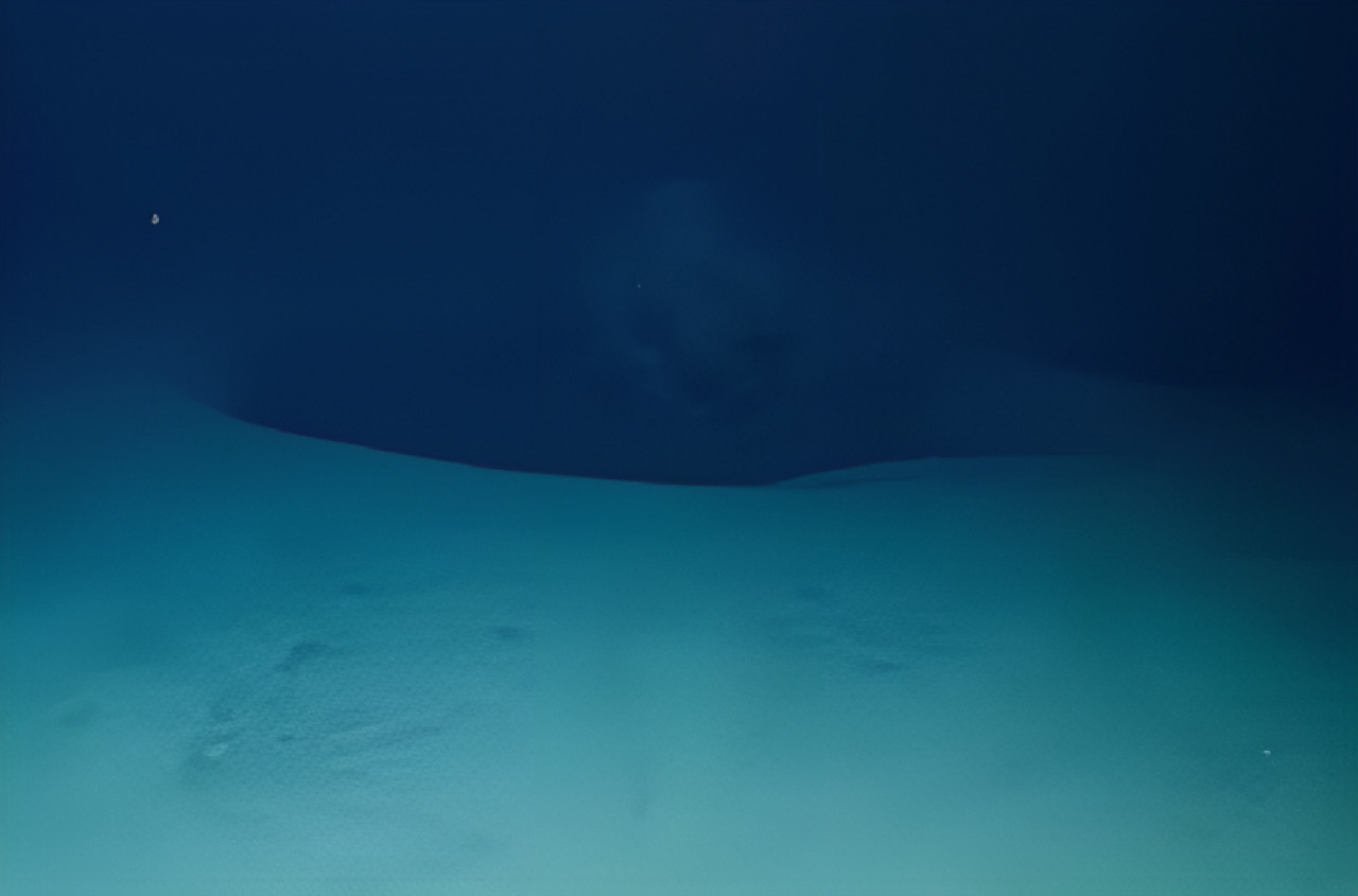 La pileta de salmuera encontrada en las profundidades del Mar Rojo estaba a unos 1700 metros bajo la superficie. Foto: Ocean X.