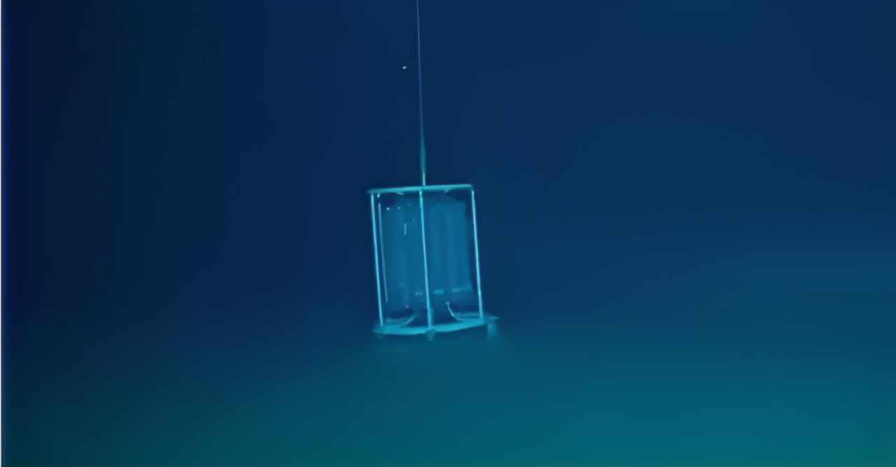 Los científicos encontraron las piletas de la muerte gracias a un vehículo submarino operado a distancia. Foto: Ocean X.
