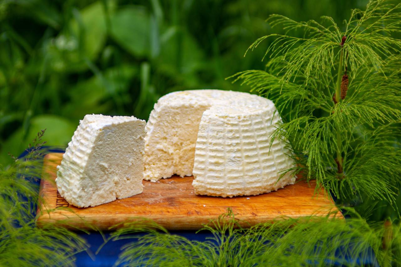 El queso que tiene más hierro que las lentejas y cuatro veces el calcio de la leche. Unsplash,
