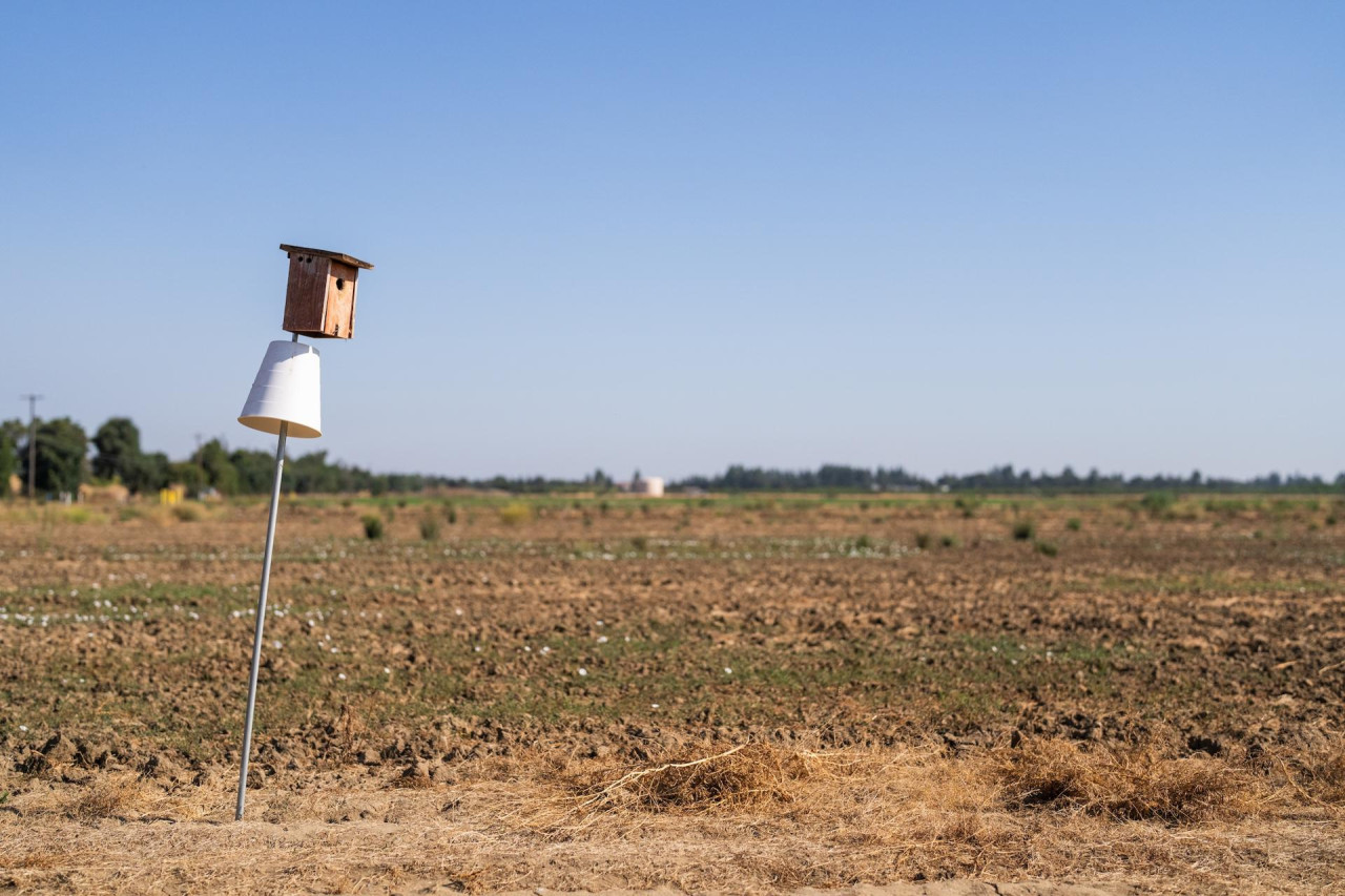 Fotografía de una "caja nido" en un campo agrícola en Estados Unidos. Foto Unsplash.