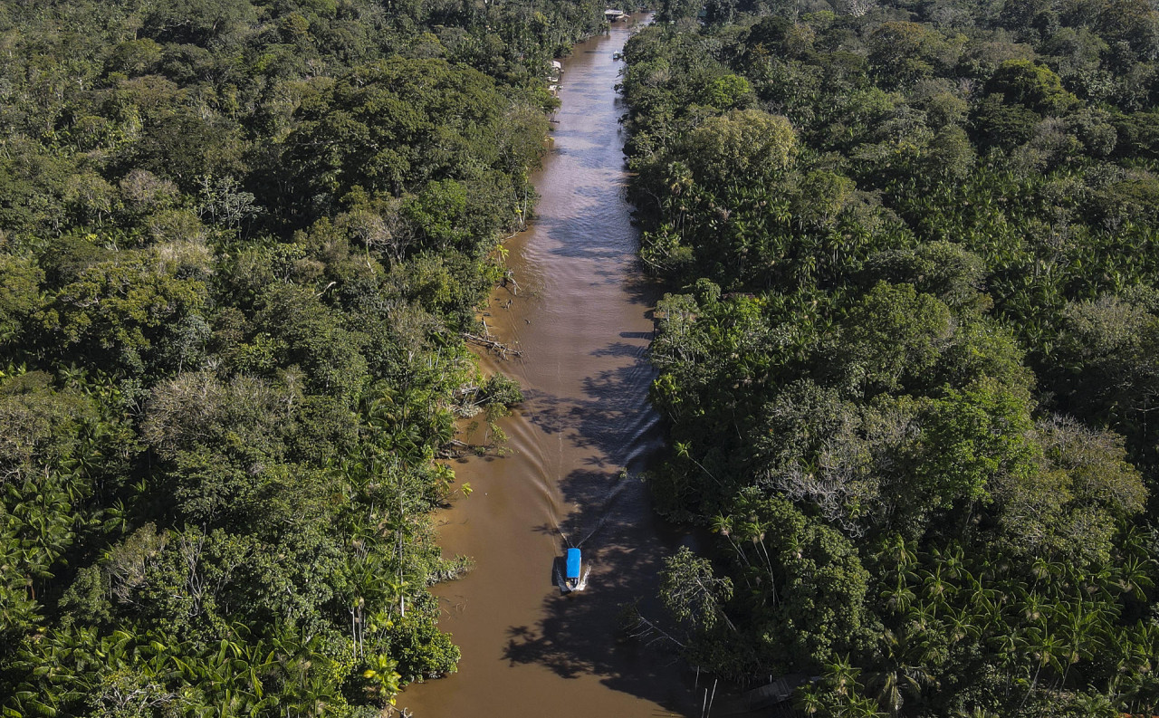 Campaña para proteger la Amazonía. Foto: EFE.