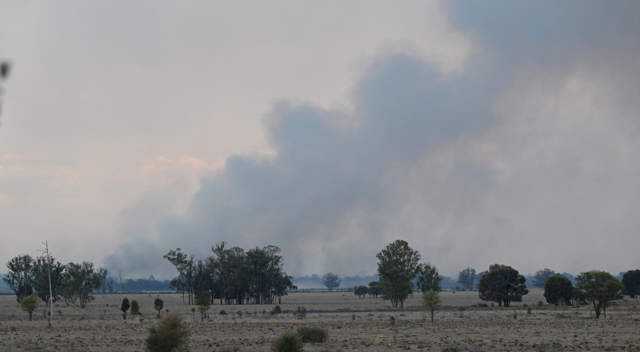 Incendios forestales en Australia. Foto: EFE.