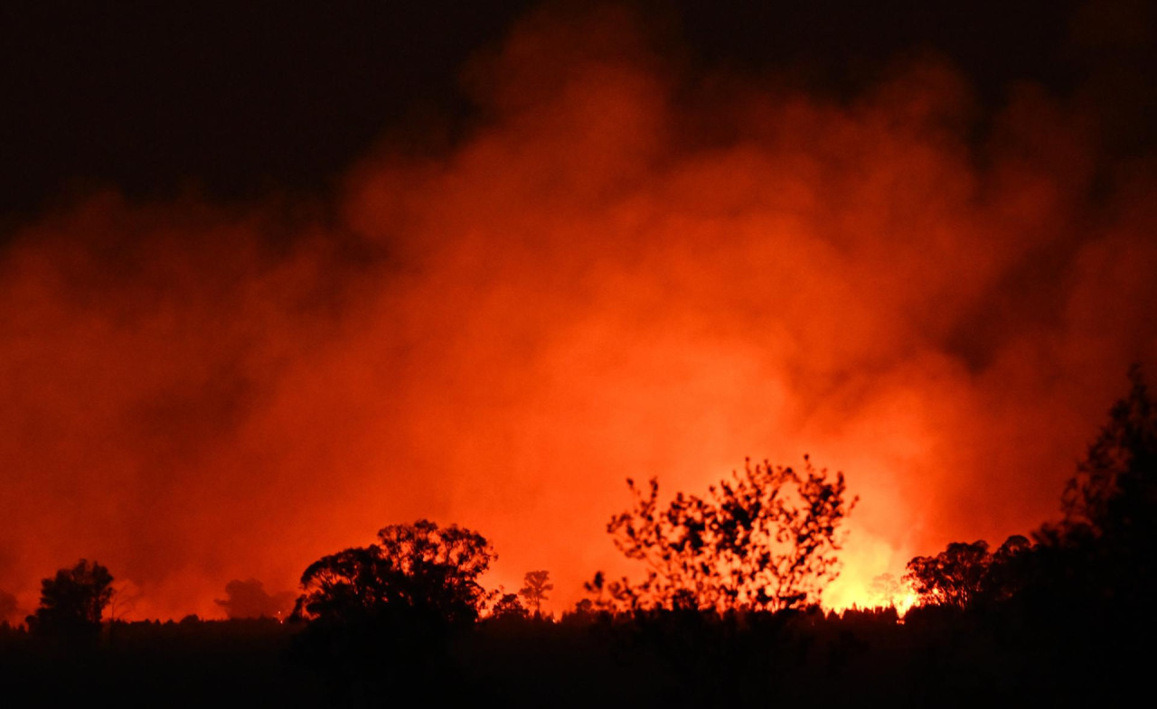 Incendios forestales en Australia. Foto: EFE.