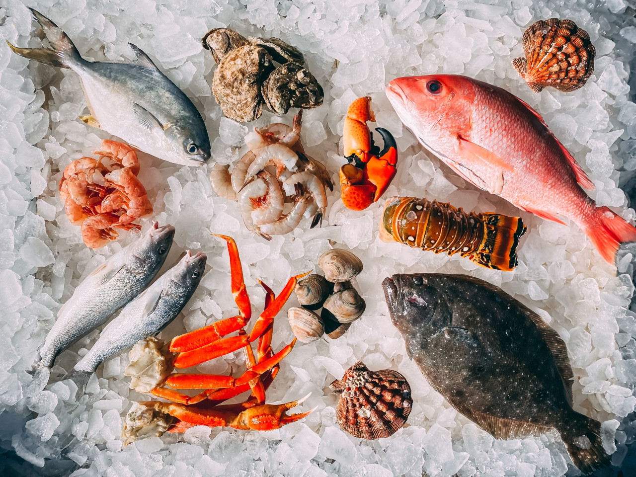 Mariscos. Foto Unsplash.