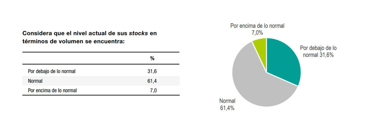 Datos de la encuesta realizada por el Indec. Foto: Indec.