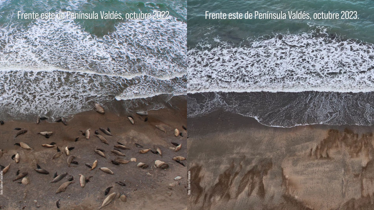 Comparación de las costas de Chubut. Foto: NA.