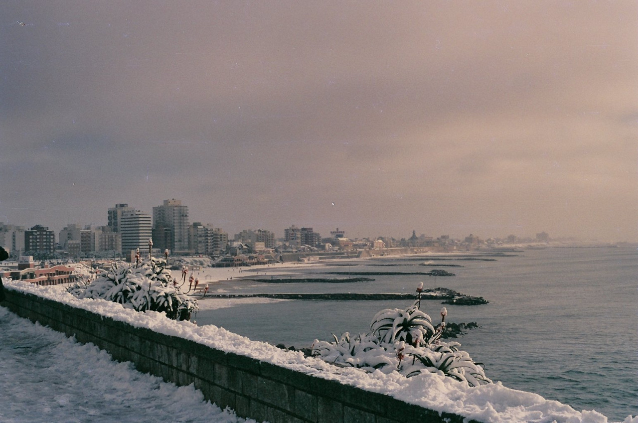 Mar del Plata, 1991. Foto: @agusdalto