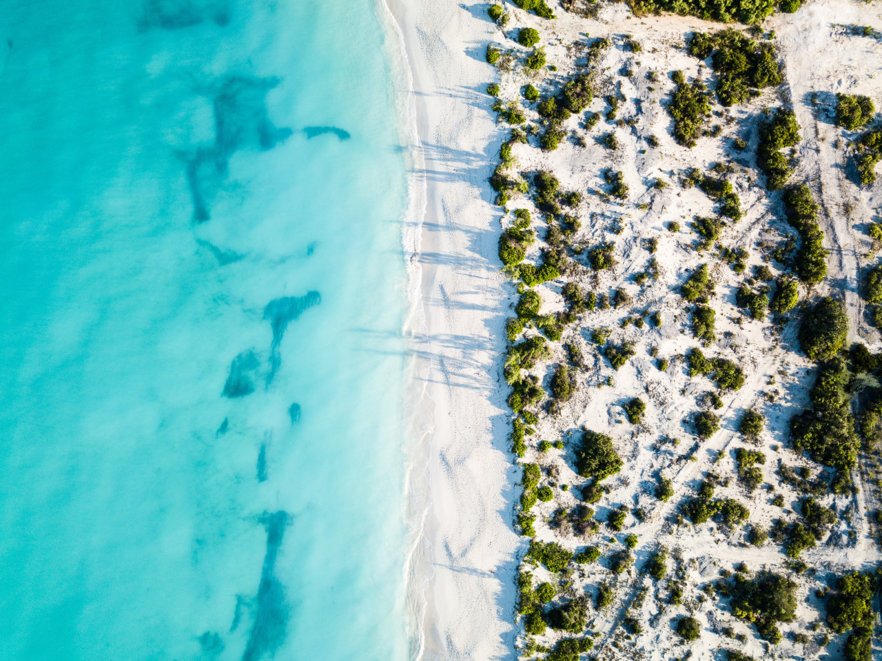 Una isla paradisíaca del Caribe ofrece 184.000 euros al año por vivir ahí. Foto: Unsplash