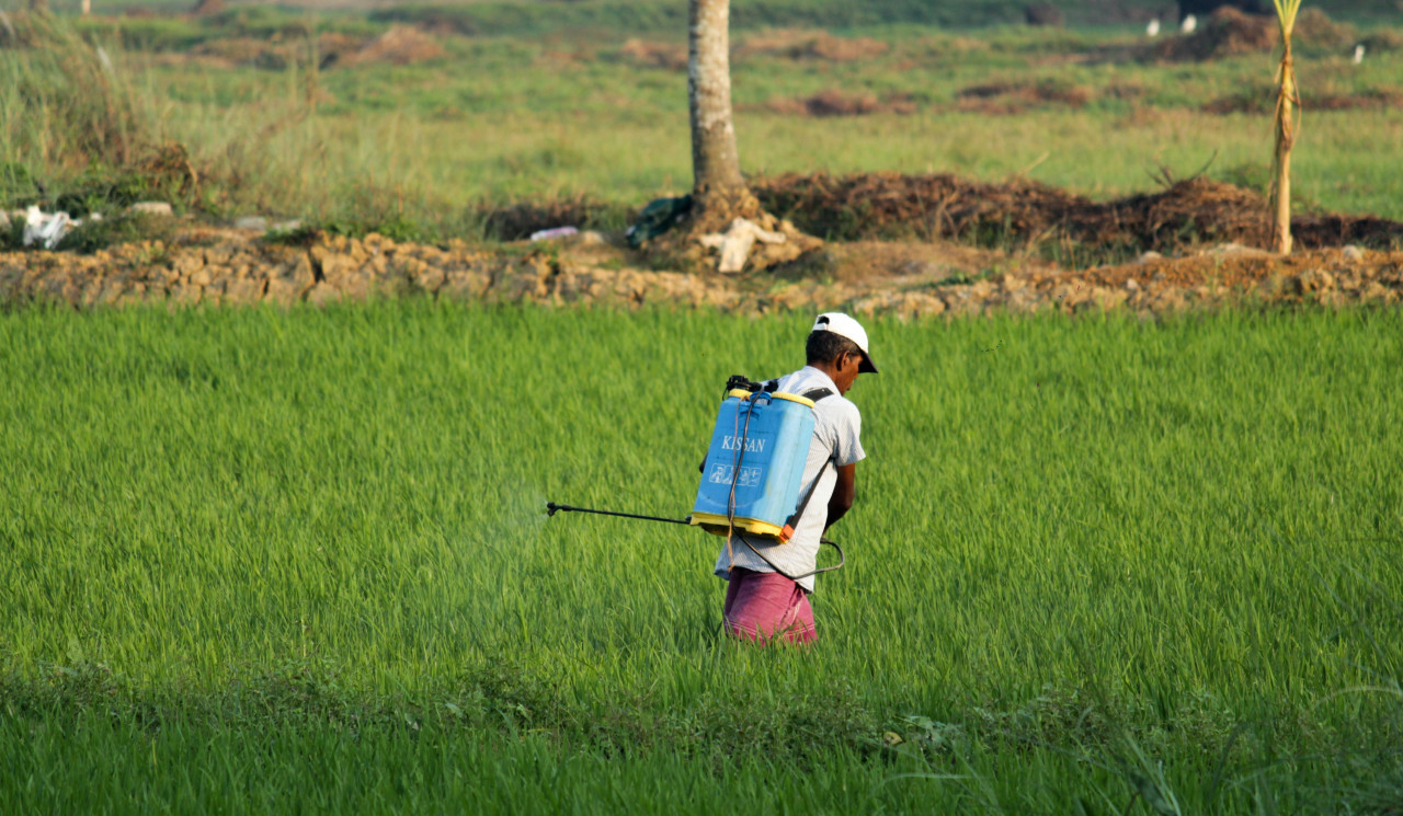 Tóxicos, contaminantes, agroindustria. Foto: Unsplash