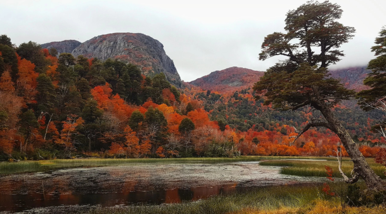 Lago Quillelhue. Foto: NA