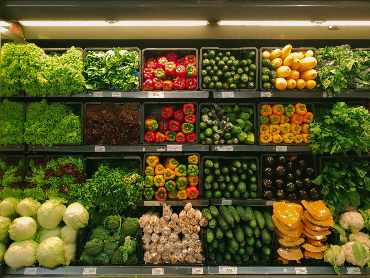 Verduras. Foto: Unsplash.