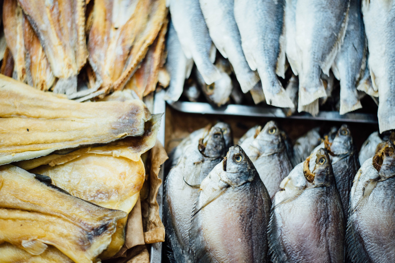El congrio el pescado más beneficioso para los humanos. Foto: Unsplash