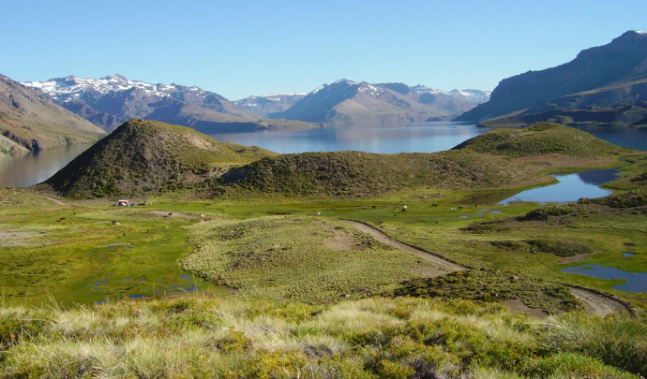 Manzano Amargo. Foto Neuquén Turismo.