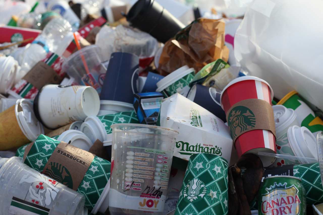 El problema del reciclaje de los vasos de papel. Foto: Unsplash.