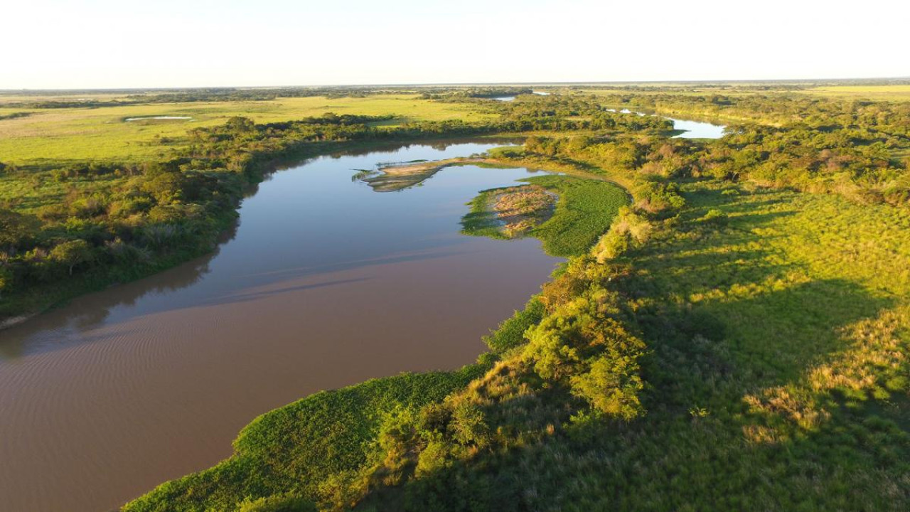 Humedales del Río Paraná. Foto: Télam.