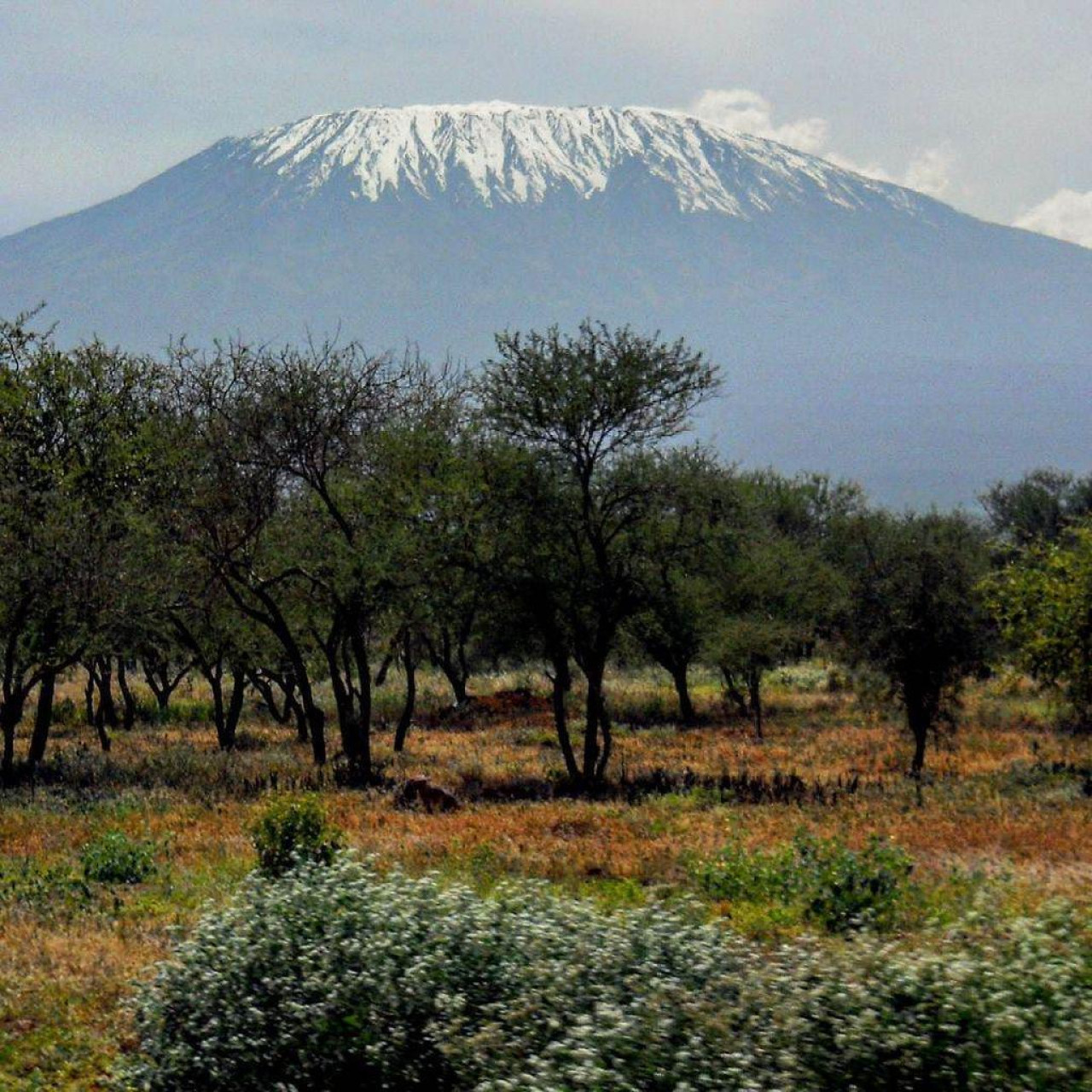 Volcanes en Kenia. Foto Twitter @ournit.